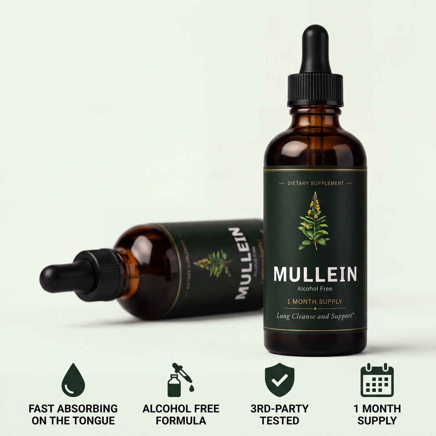 Mullein Leaf Extract Drops