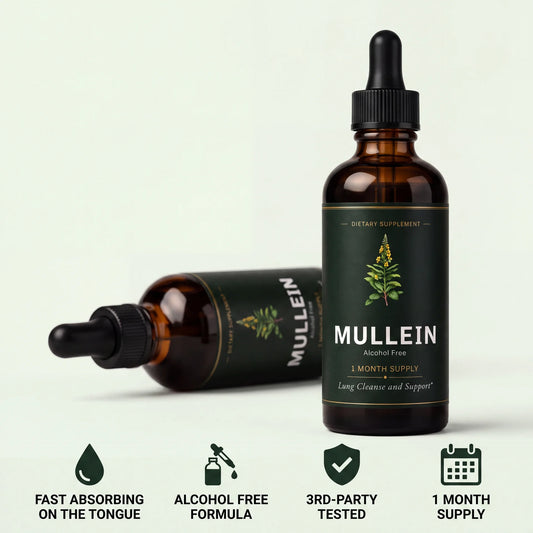 Mullein Leaf Extract Drops